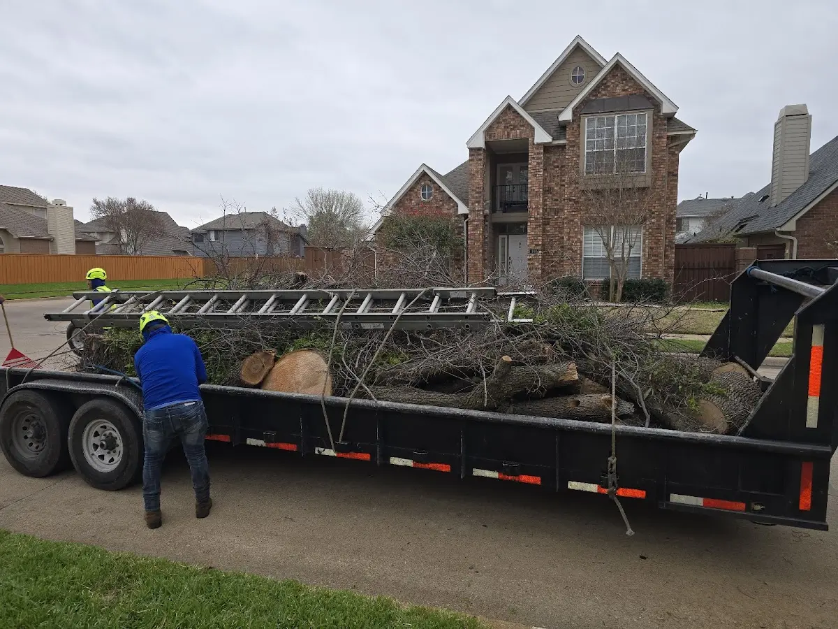 Expert Tree Removal with proper safety equipment in Hanley Falls